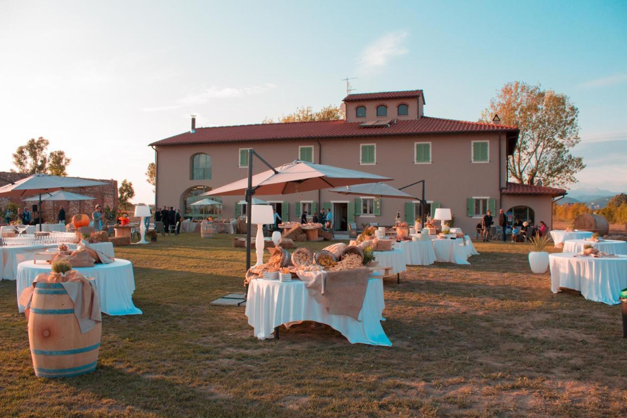 ピサ Fattoria L'Olmettoヴィラ エクステリア 写真