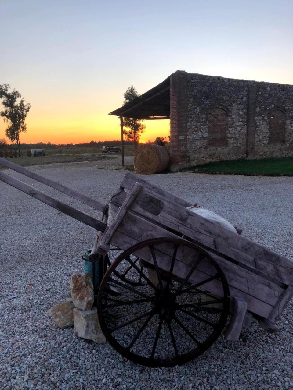 ピサ Fattoria L'Olmettoヴィラ エクステリア 写真