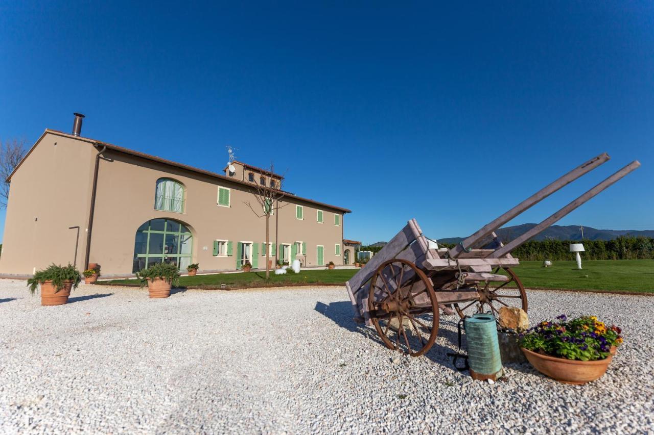 ピサ Fattoria L'Olmettoヴィラ エクステリア 写真