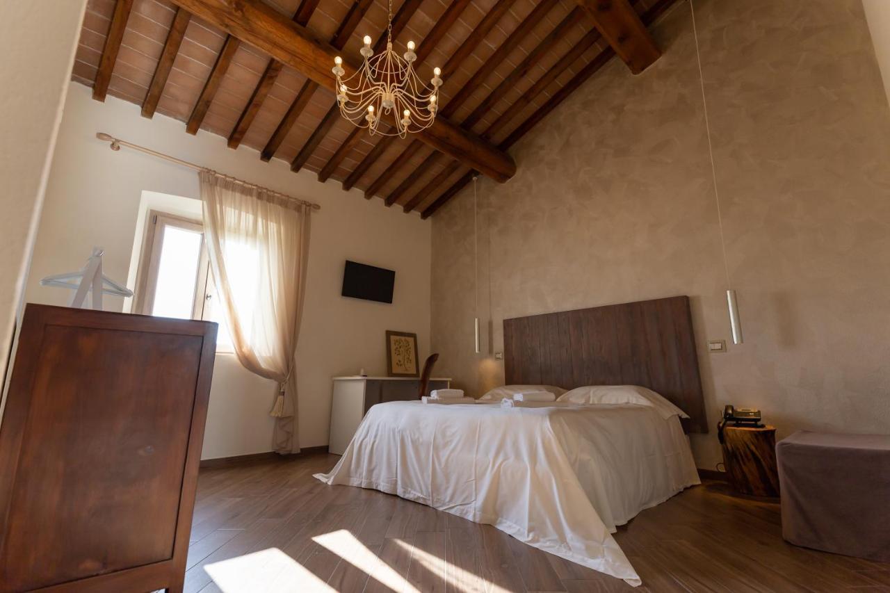 ピサ Fattoria L'Olmettoヴィラ エクステリア 写真
